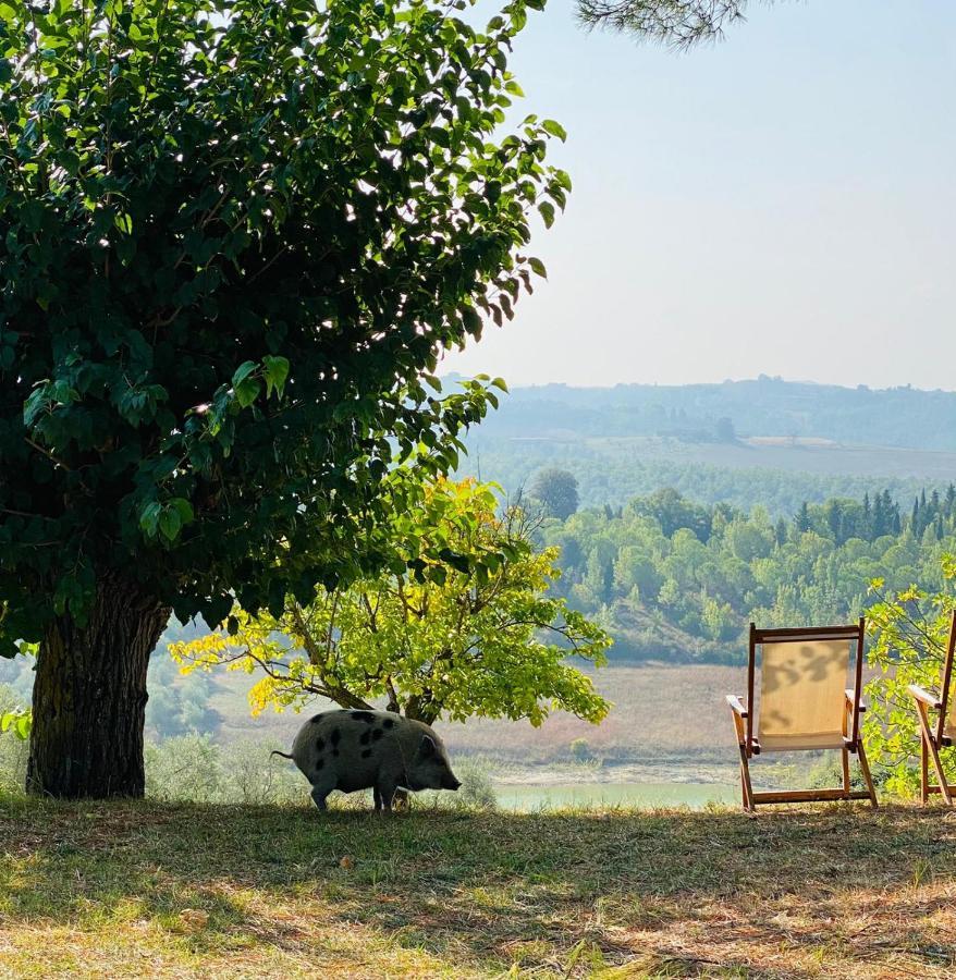 Agriturismo Sole Trequanda Exterior foto