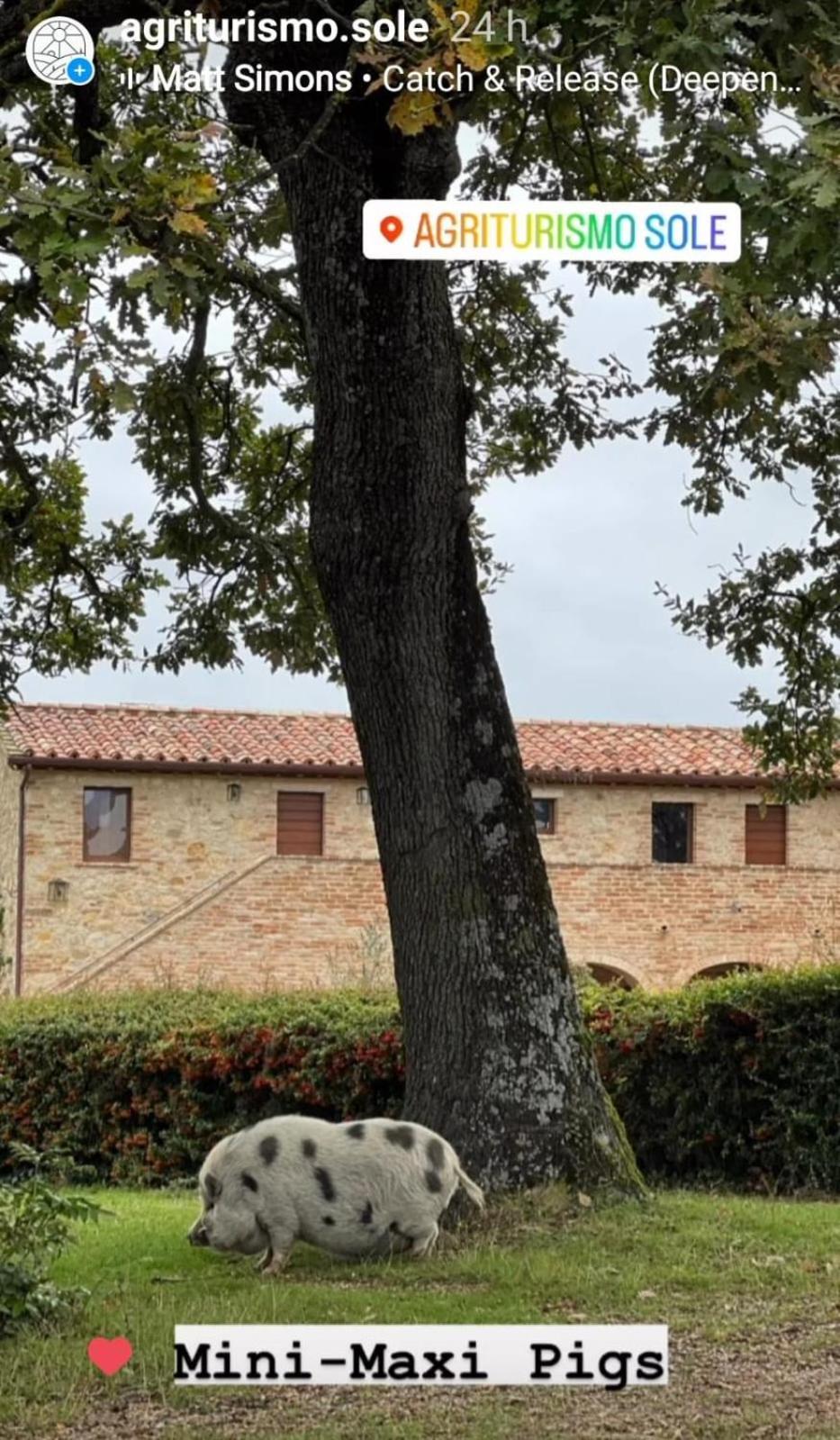 Agriturismo Sole Trequanda Exterior foto